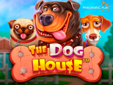 Dog house casino {RGDSIE}5